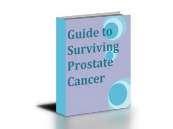 PCGuide